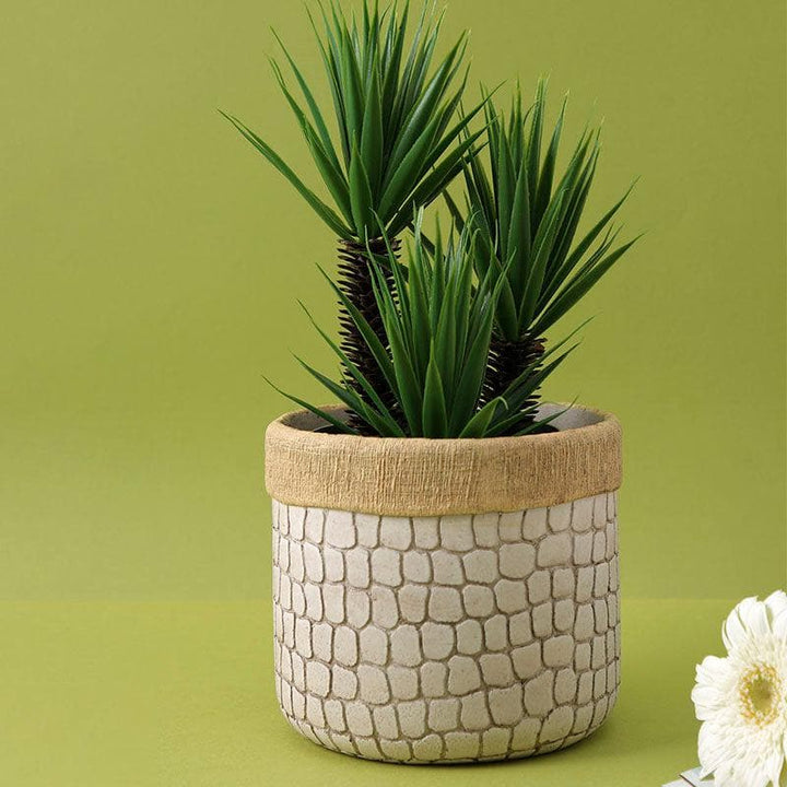 Buy Pebble Grace Planter - Beige at Vaaree online | Beautiful Pots & Planters to choose from