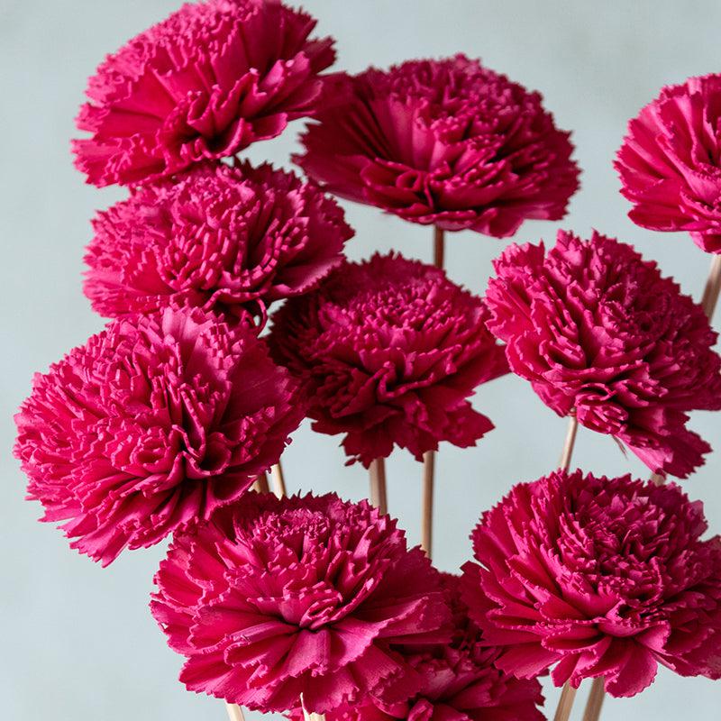 Buy Besta Carnation Sola Flower Stick (Pink) - Set Of Ten Artificial Flowers from Vaaree