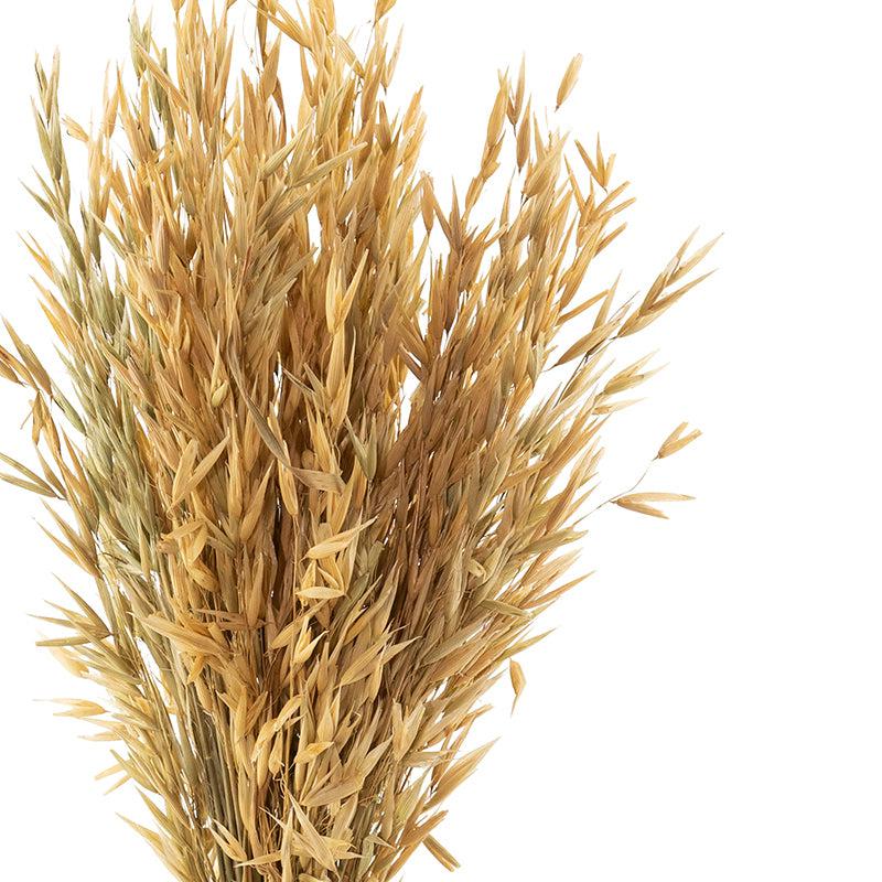 Buy Yini Naturally Dried Havana Grass Artificial Flowers from Vaaree