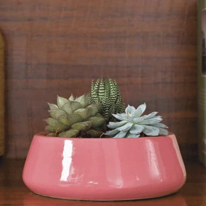 Buy Ugaoo Tulip Fantasy Ceramic Planter (19 CM) - Magenta Pots & Planters from Vaaree