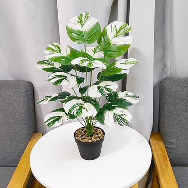 Artificial Plants - Faux Monstera Variegata Plant With Pot - 2.1 Feet