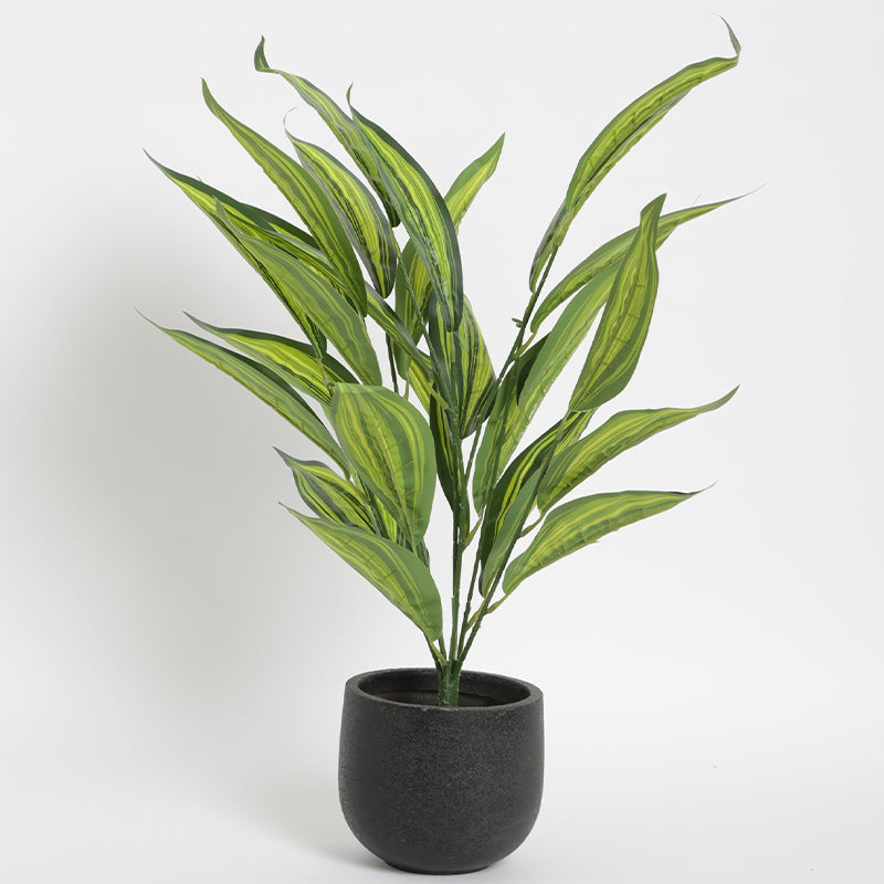 Artificial Plants - Faux Sterling Dieffenbachia Plant With Pot - 2.2 Feet