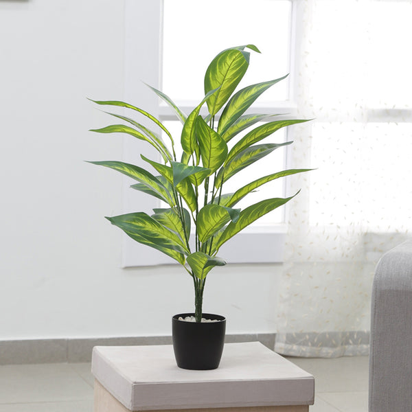 Artificial Plants - Faux Petra Corton Plant With Pot - 2.2 Feet