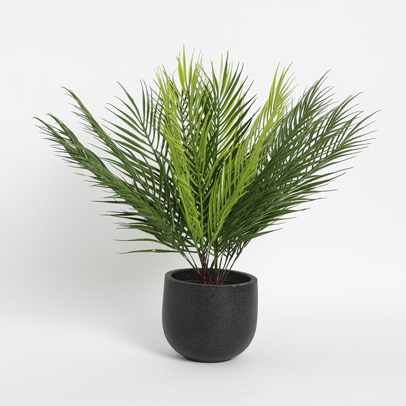 Artificial Plants - Faux Tropical Palm Bush (50 Cms) - Set Of Two