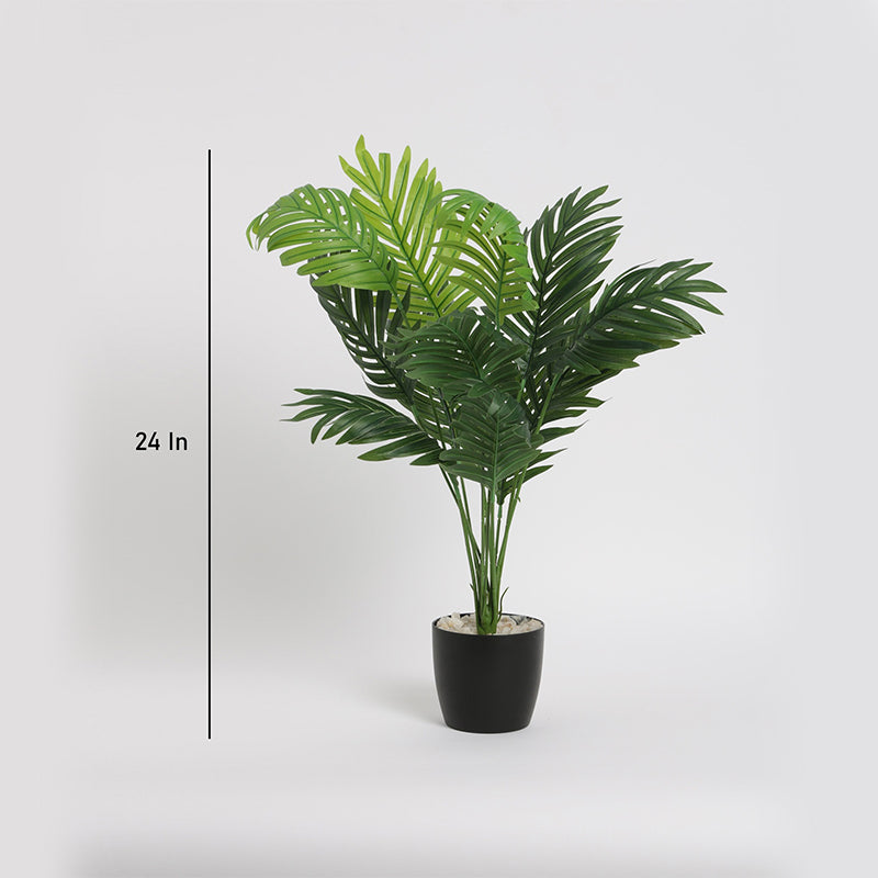 Artificial Plants - Faux Dypsis Baronii Corton Plant With Pot - 55 Cms