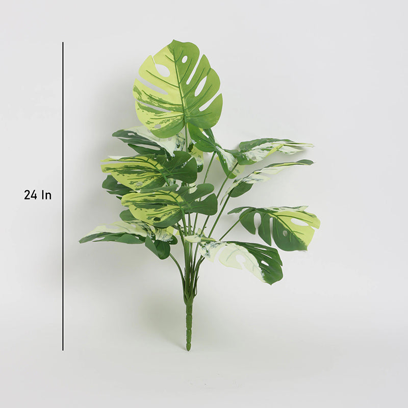 Artificial Plants - Faux Green & White Monstera Obliqua Plant - 55 Cms