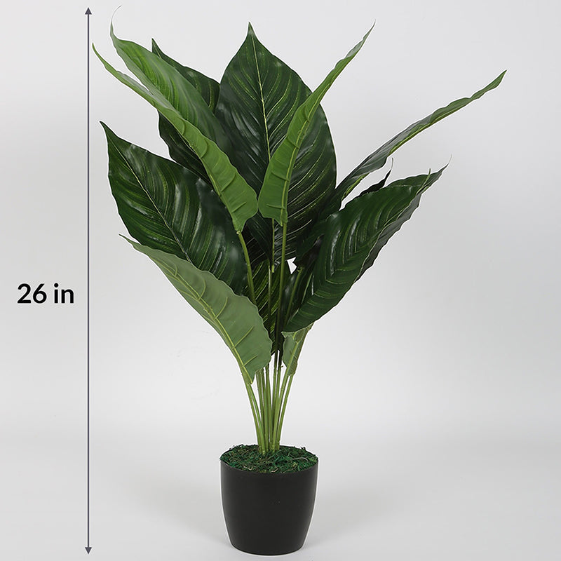 Artificial Plants - Faux Canna Plant - 2.1 Feet