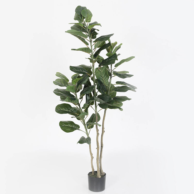 Artificial Plants - Faux Banjo Fig Plant With Pot - 4.9 Feet