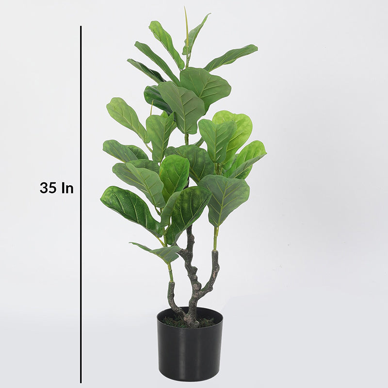 Artificial Plants - Faux Fiddle Fig Plant With Pot - 2.9 Feet