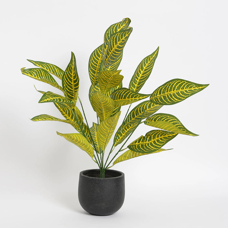 Artificial Plants - Faux Roosevelt Croton Plant With Pot - 2.2 Feet