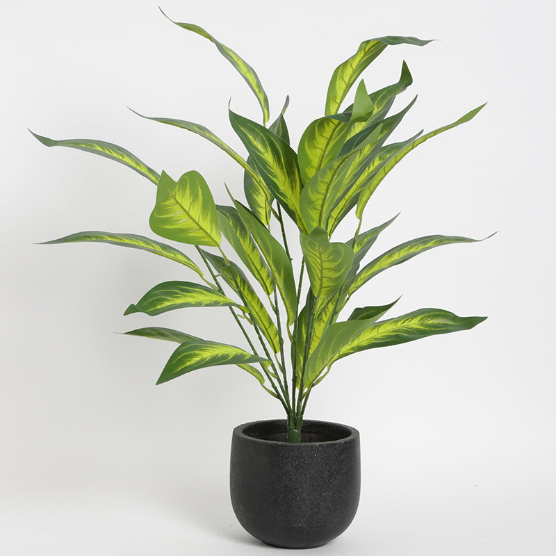 Artificial Plants - Faux Memoria Corsii Plant With Pot - 2.2 Feet