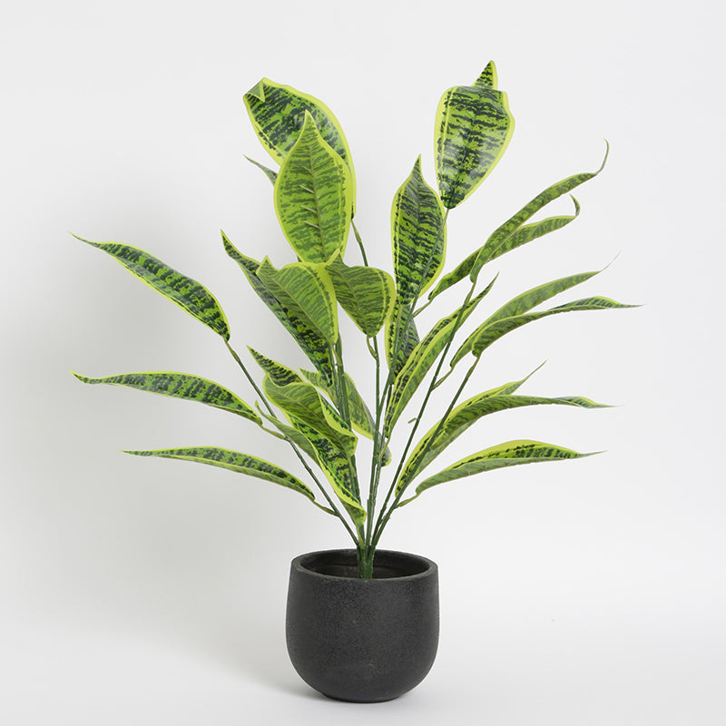 Artificial Plants - Faux Snake Plant With Pot - 2.2 Feet