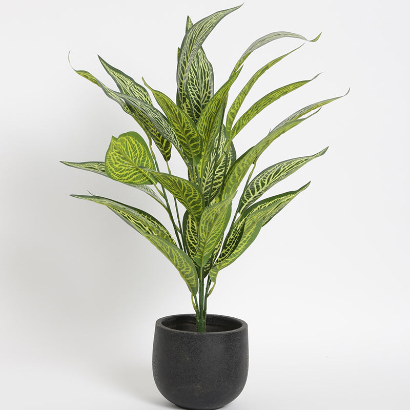 Artificial Plants - Faux Light Green Icetone Croton Plant With Pot - 2.2 Feet