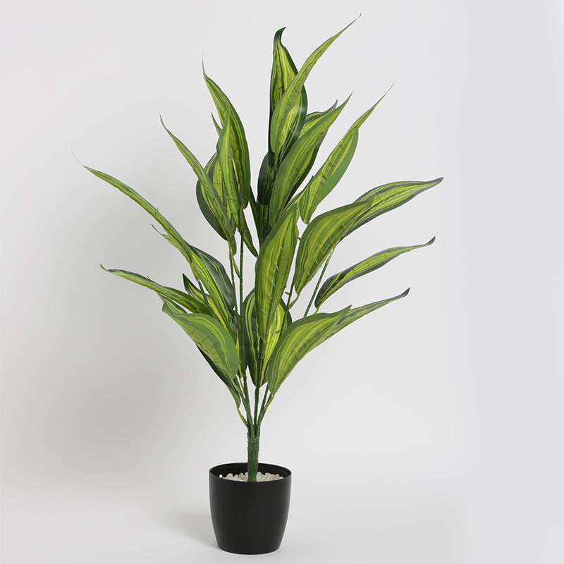 Artificial Plants - Faux Norma Corton Plant With Pot - 2.2 Feet