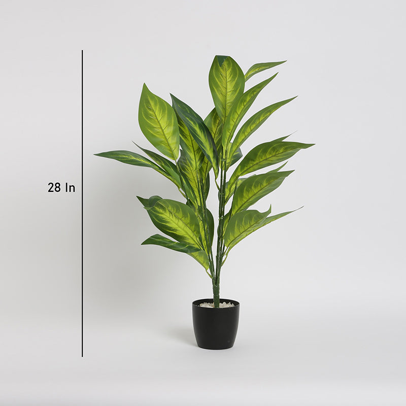 Artificial Plants - Faux Petra Corton Plant With Pot - 2.2 Feet