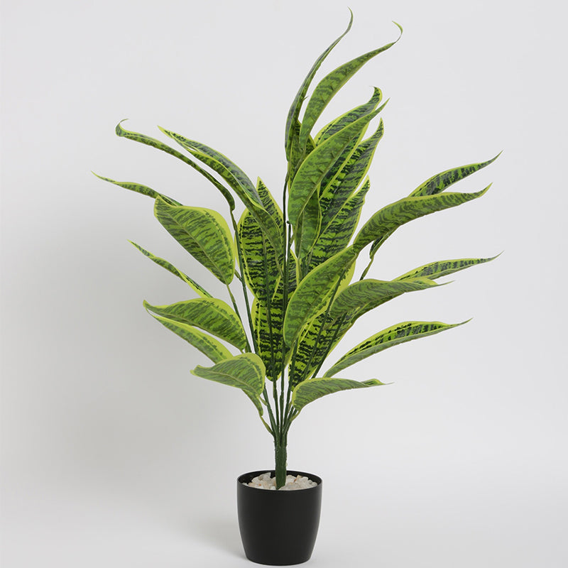 Artificial Plants - Faux Sloppy Painter Corton Plant With Pot - 2.2 Feet