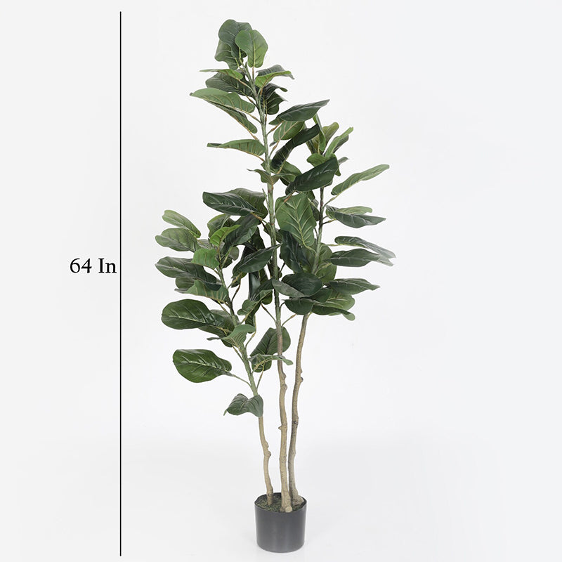 Artificial Plants - Faux Banjo Fig Plant With Pot - 4.9 Feet