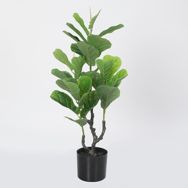 Artificial Plants - Faux Fiddle Fig Plant With Pot - 2.9 Feet