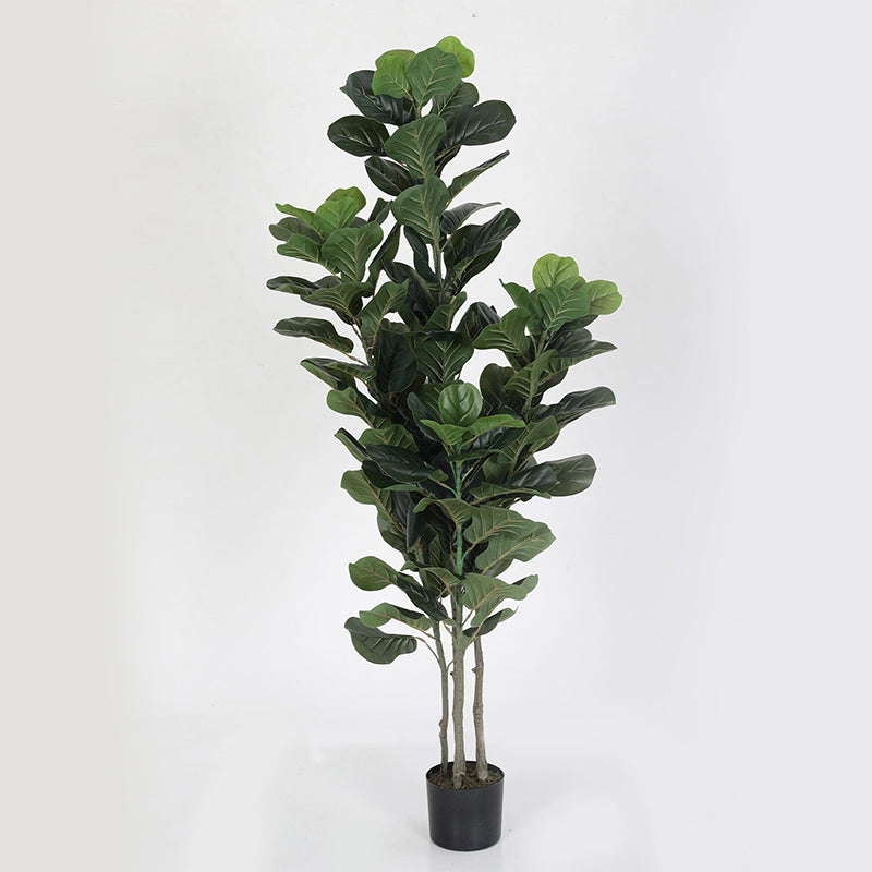 Artificial Plants - Faux Fiddle Fig Tree With Pot - 5.9 Feet