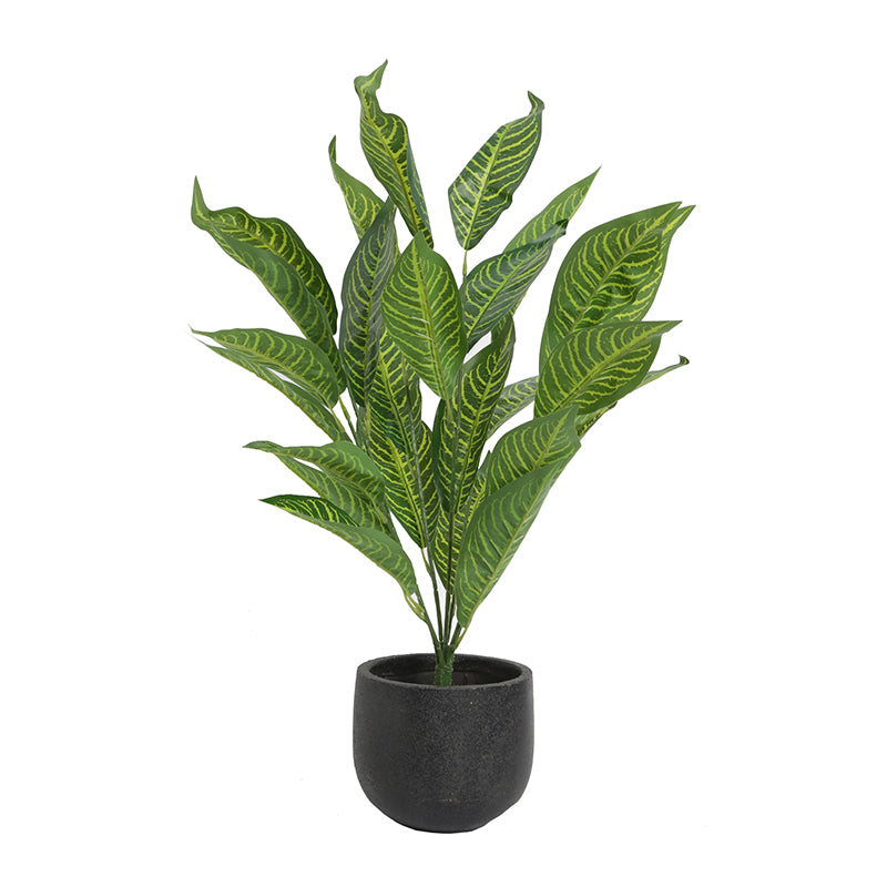 Artificial Plants - Faux Dark Green Icetone Croton Plant With Pot - 2.9 Feet