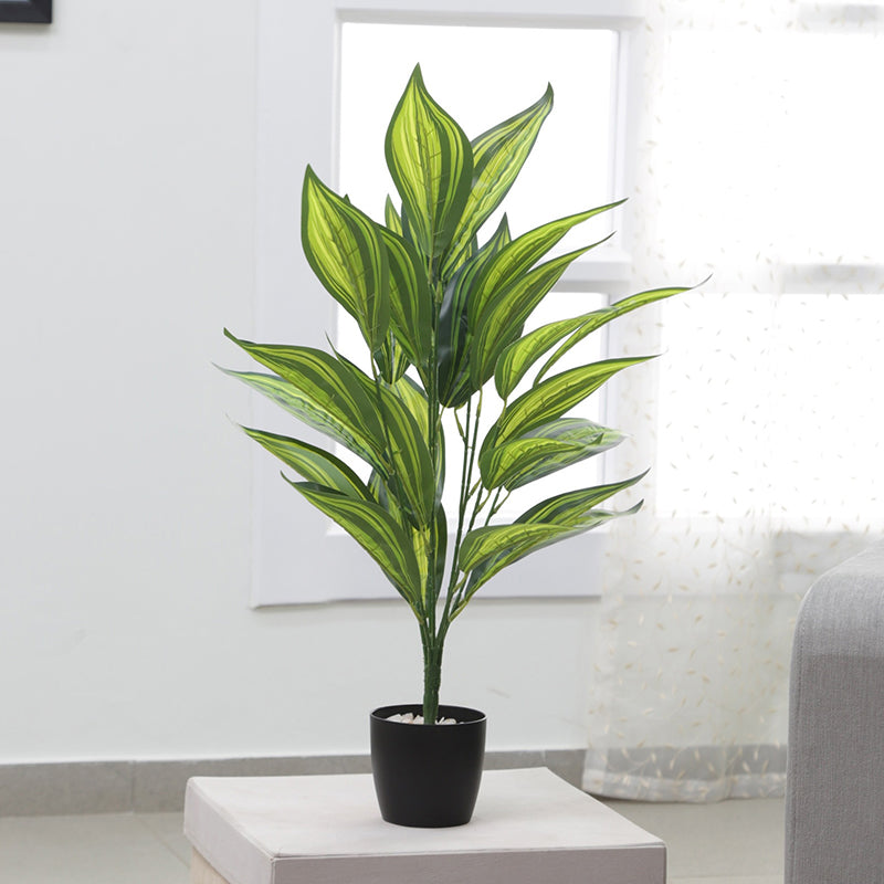 Artificial Plants - Faux Sterling Dieffenbachia Plant With Pot - 2.2 Feet