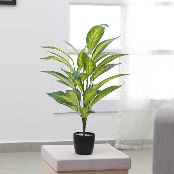 Artificial Plants - Faux Memoria Corsii Plant With Pot - 2.2 Feet