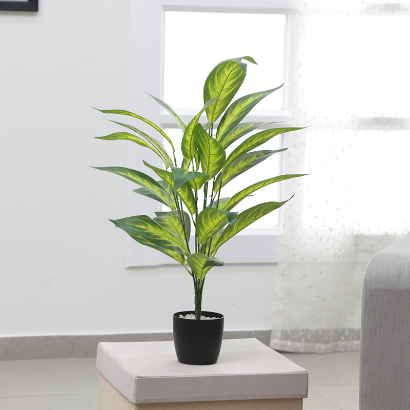 Buy Faux Memoria Corsi Plant - 2.2 Feet Artificial Plants from Vaaree