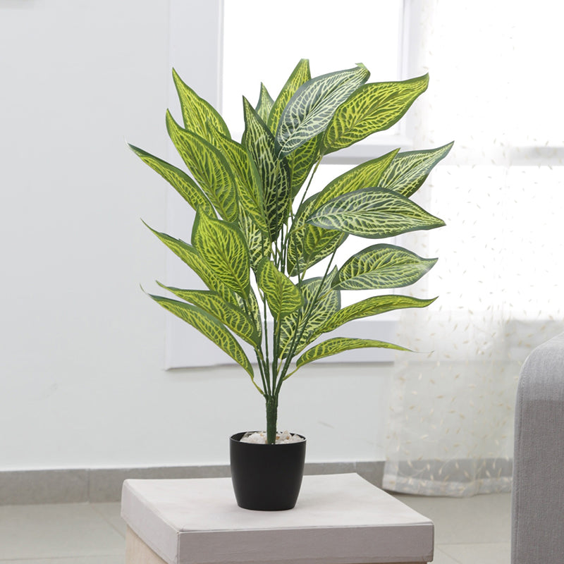 Artificial Plants - Faux Light Green Icetone Croton Plant With Pot - 2.2 Feet