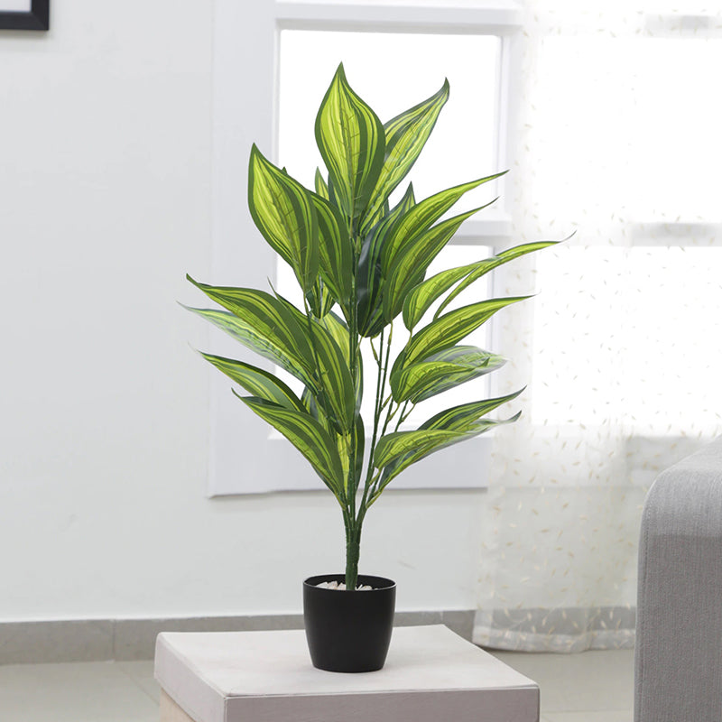 Artificial Plants - Faux Norma Corton Plant With Pot - 2.2 Feet