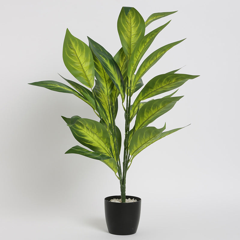 Artificial Plants - Faux Petra Corton Plant With Pot - 2.2 Feet