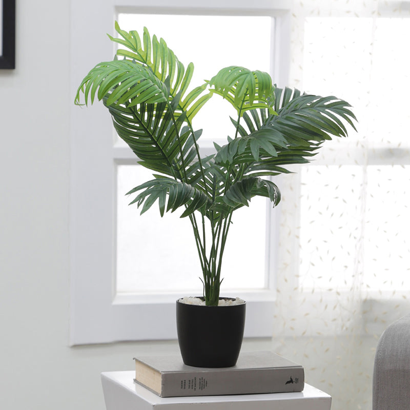 Artificial Plants - Faux Dypsis Baronii Corton Plant With Pot - 55 Cms