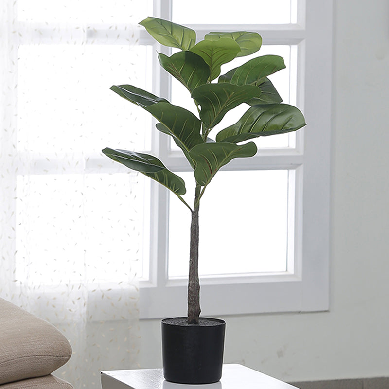 Buy Faux Fiddle Fig Plant Tree With Pot - 2.5 Feet Artificial Plants from Vaaree