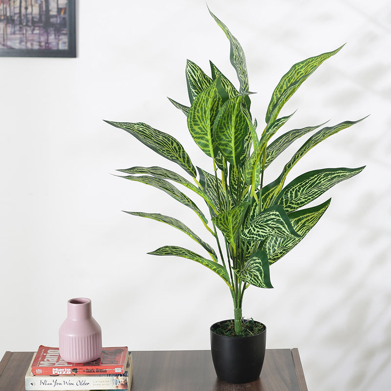 Artificial Plants - Faux Light Green Croton Plant With Pot - 2.2 Feet