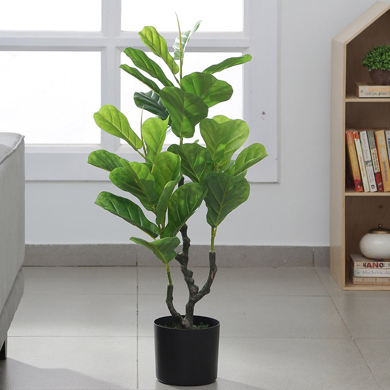 Artificial Plants - Faux Fiddle Fig Plant With Pot - 2.9 Feet