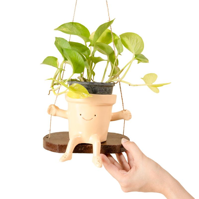 Buy Happy Face Hanging Planter Pots & Planters from Vaaree