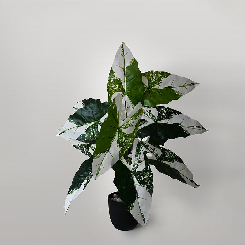 Buy Faux Everlasting Infinity Caladium Plant With Pot - 2.6 Feet Artificial Plants from Vaaree