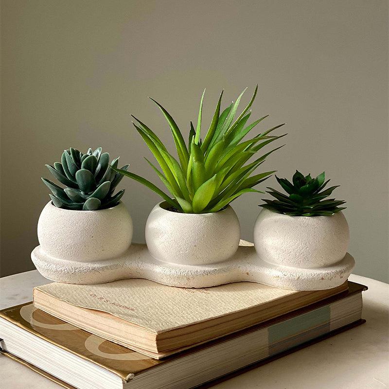 Buy Faux Green Trio Succulent Artificial Plants from Vaaree