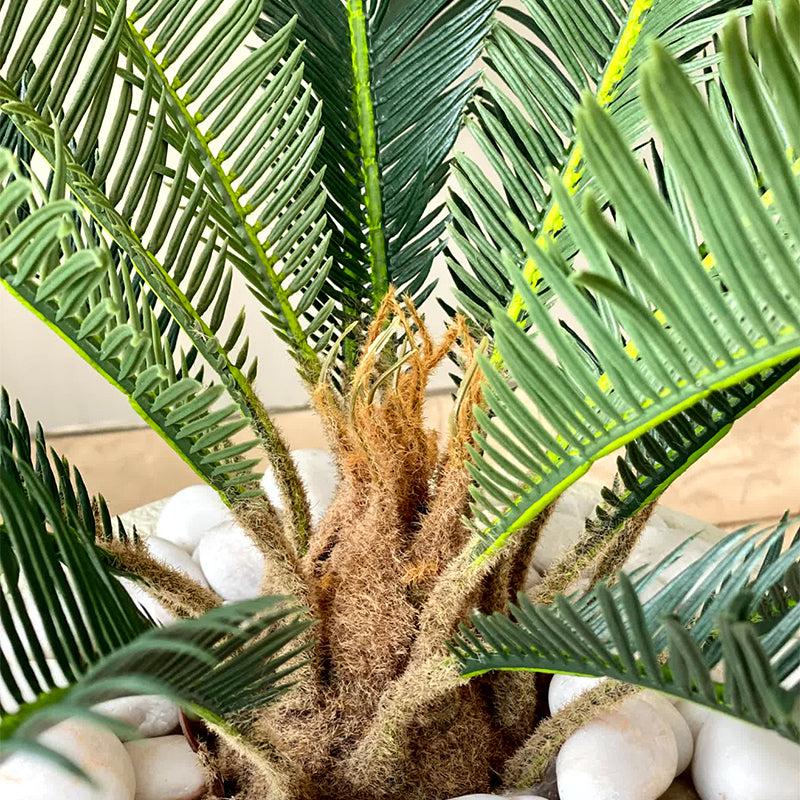 Buy Faux Cycas Plant - 2.5 Feet Artificial Plants from Vaaree