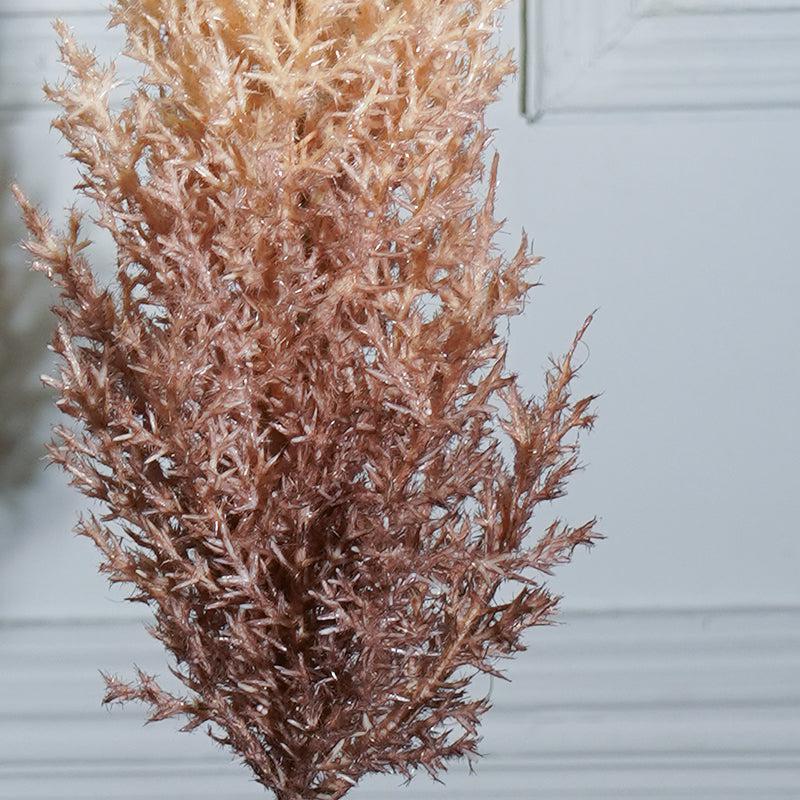 Buy Faux Sabina Millet Grass Flower Stick (Beige) - 36 CM Artificial Flowers from Vaaree