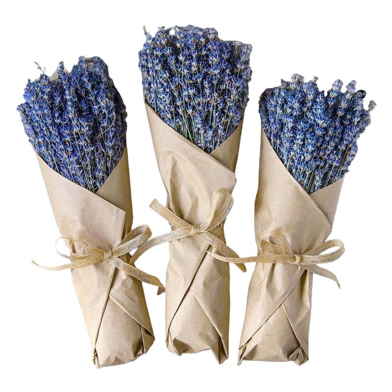 Buy Dried Lavender Flower Stick - Set of Forty Flower Stick Artificial Flowers from Vaaree