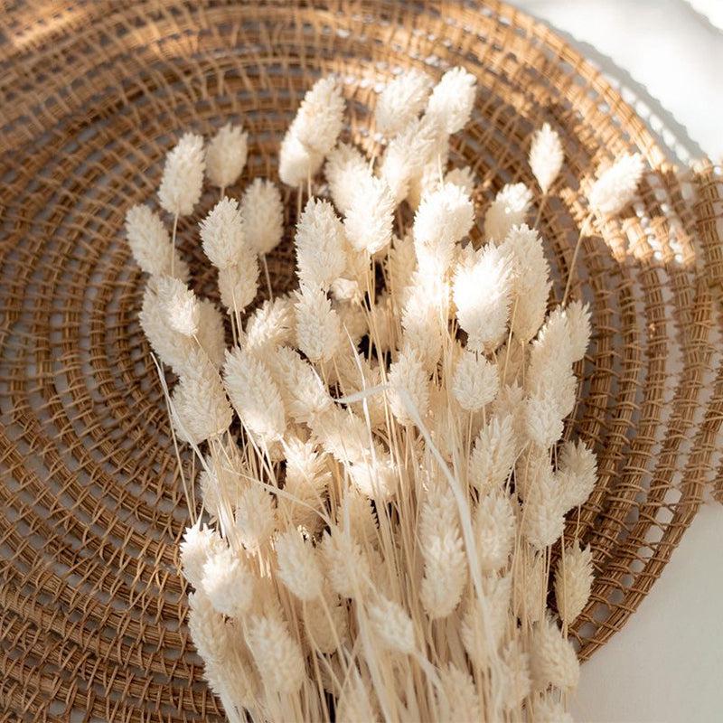 Buy Dried Phalaris Flower Stick (White) - Set of Thirty Artificial Flowers from Vaaree