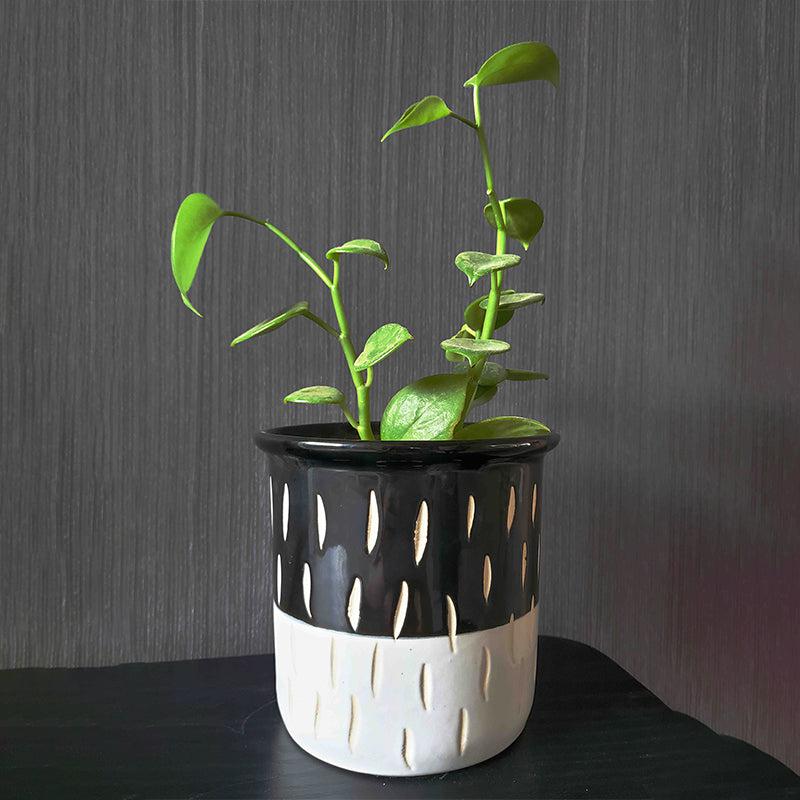 Buy Silsy Boho Handmade Ceramic Planter Pots & Planters from Vaaree