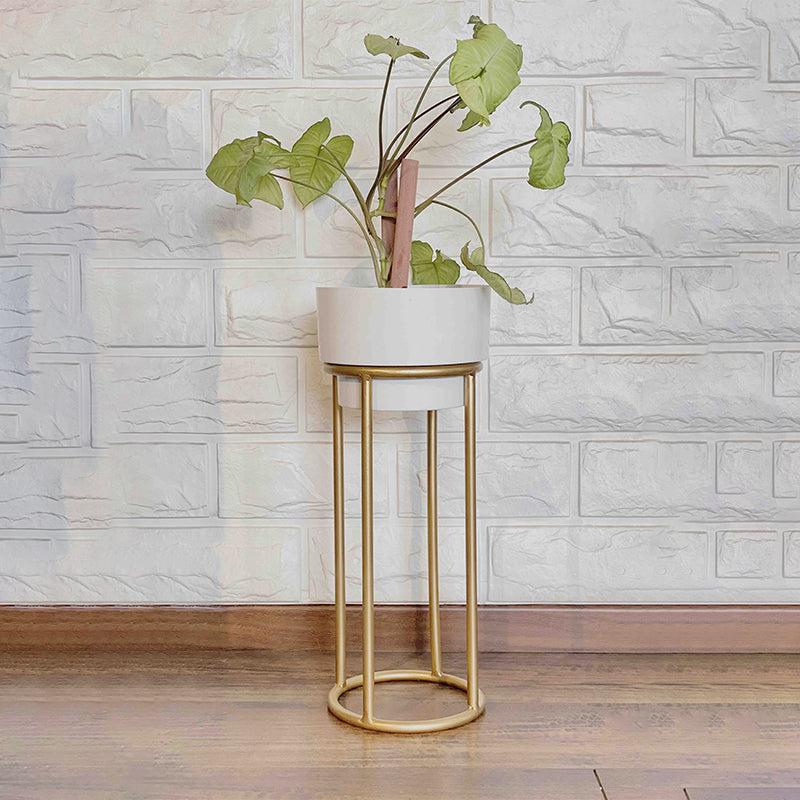 Buy Alexa Metal Planter Pots & Planters from Vaaree