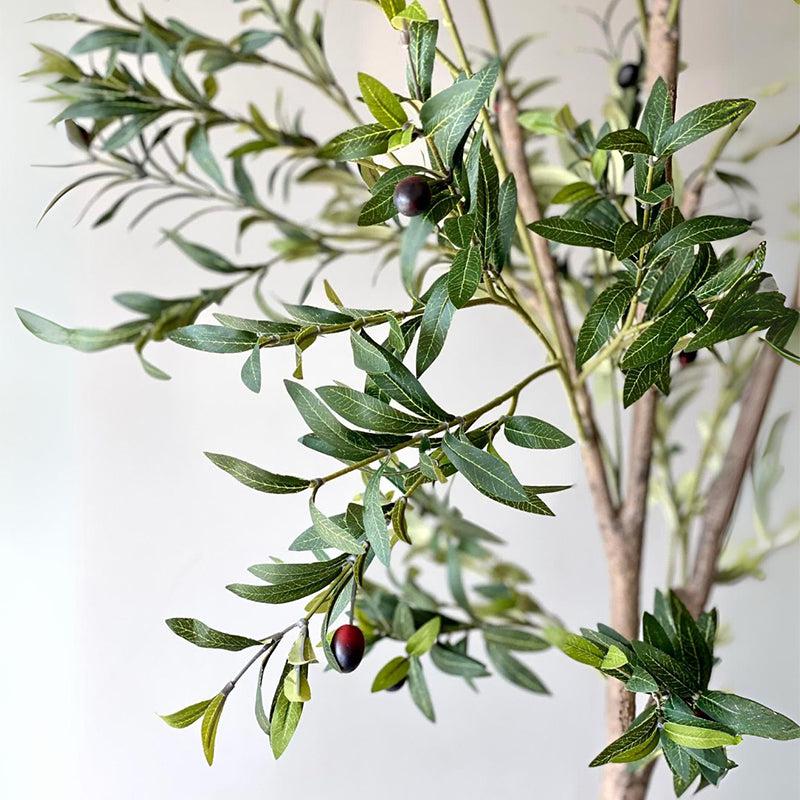 Buy Faux Realtouch Olive Tree - 7 Feet Artificial Plants from Vaaree