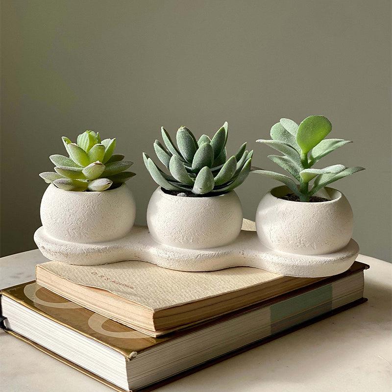 Buy Faux Realtouch Green Trio Succulent Artificial Plants from Vaaree