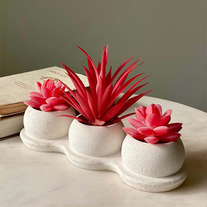 Buy Faux Red Trio Succulents Artificial Plants from Vaaree