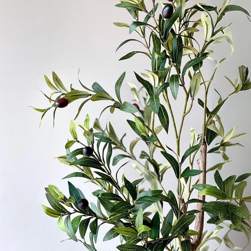 Buy Faux Realtouch Olive Tree - 5 Feet Artificial Plants from Vaaree