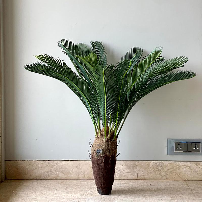 Buy Faux Cycas Plant - 2.5 Feet Artificial Plants from Vaaree