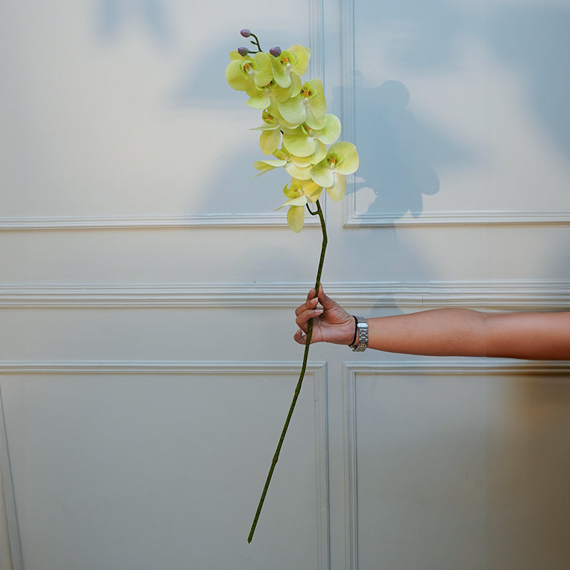 Buy Faux Orchid Flower Stick (Green) - 40 CM Artificial Flowers from Vaaree