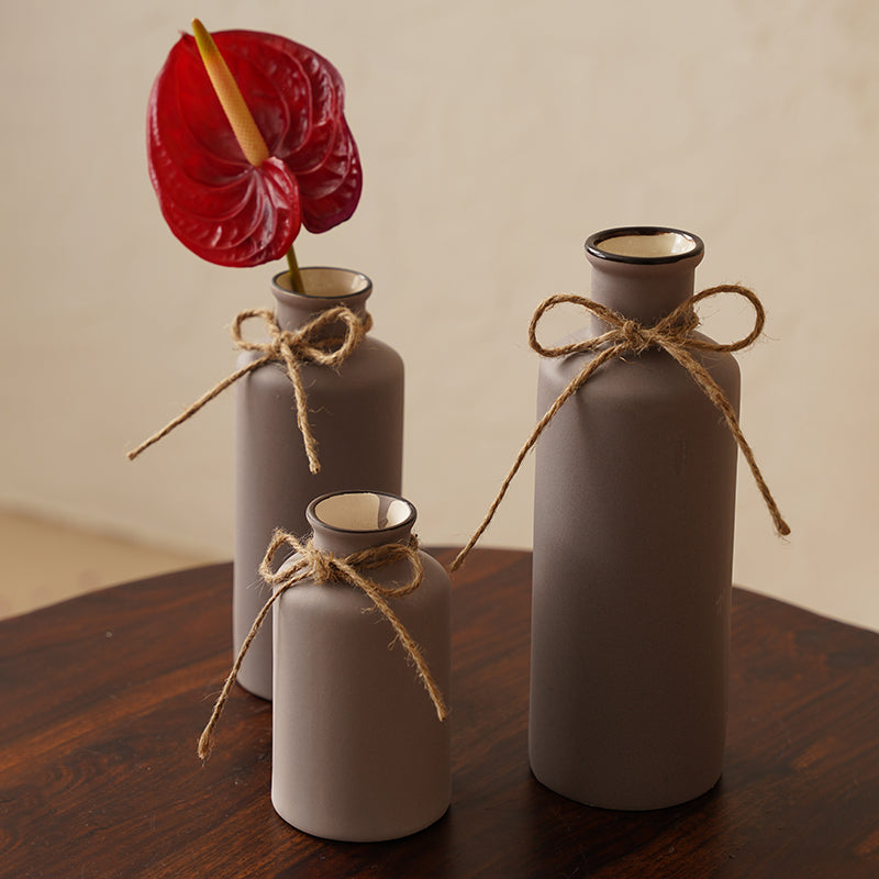 Buy Alnira Bottle Vase (Grey) - Set Of Three Vase from Vaaree